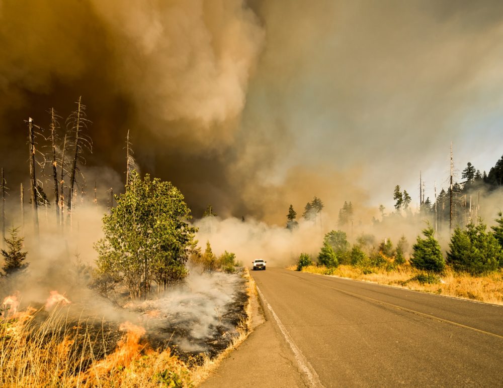 No matter where your office is located something unexpected could happen at any time. Whether it be a flood, fire, ginormous dust devil destroying everything in its path, you need to be prepared.