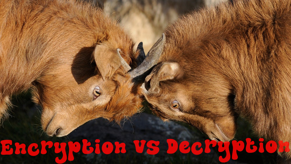 Encryption vs Decryption two rams fighting