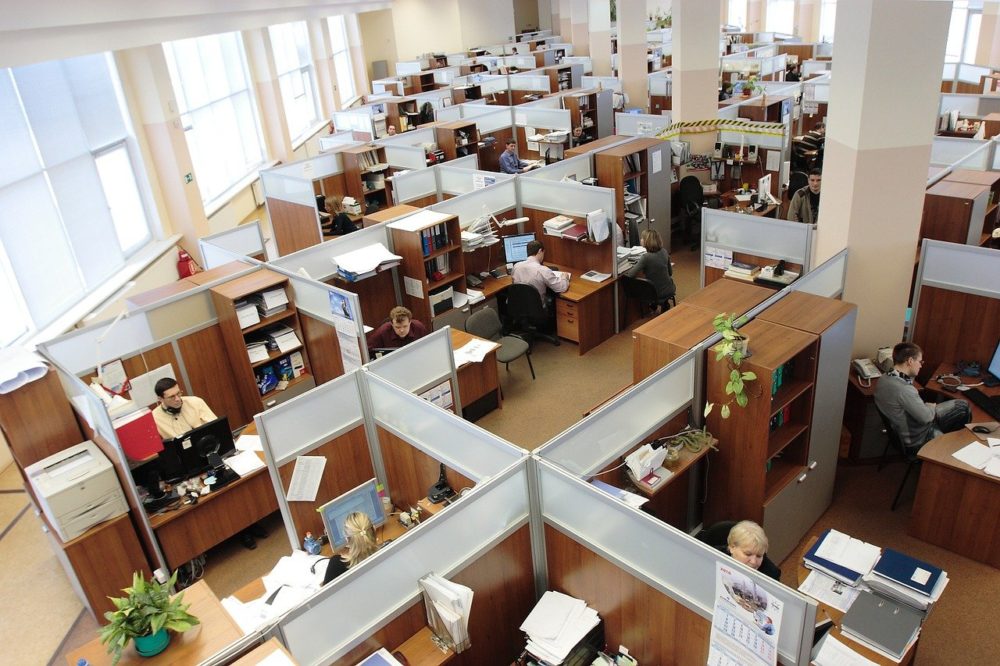 office workers busy in their cubicles