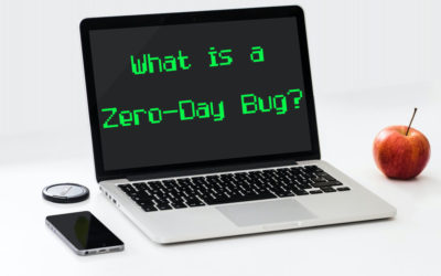 What is a Zero Day Bug and 43 Ways You Can Protect Yourself from the Latest Cyber Threats