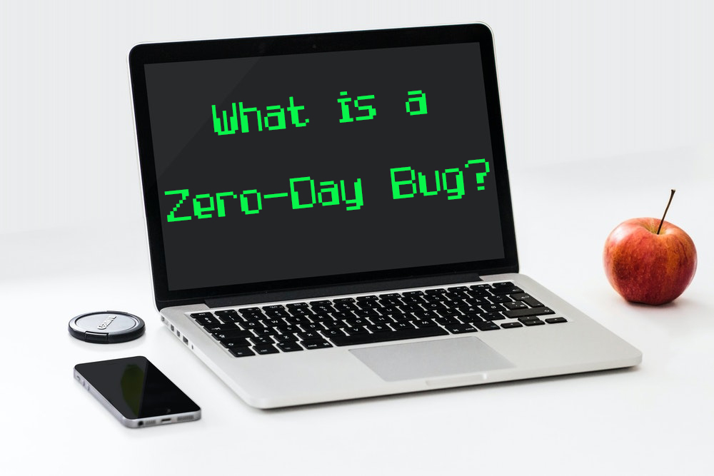 What is a zero day bug on computer screen