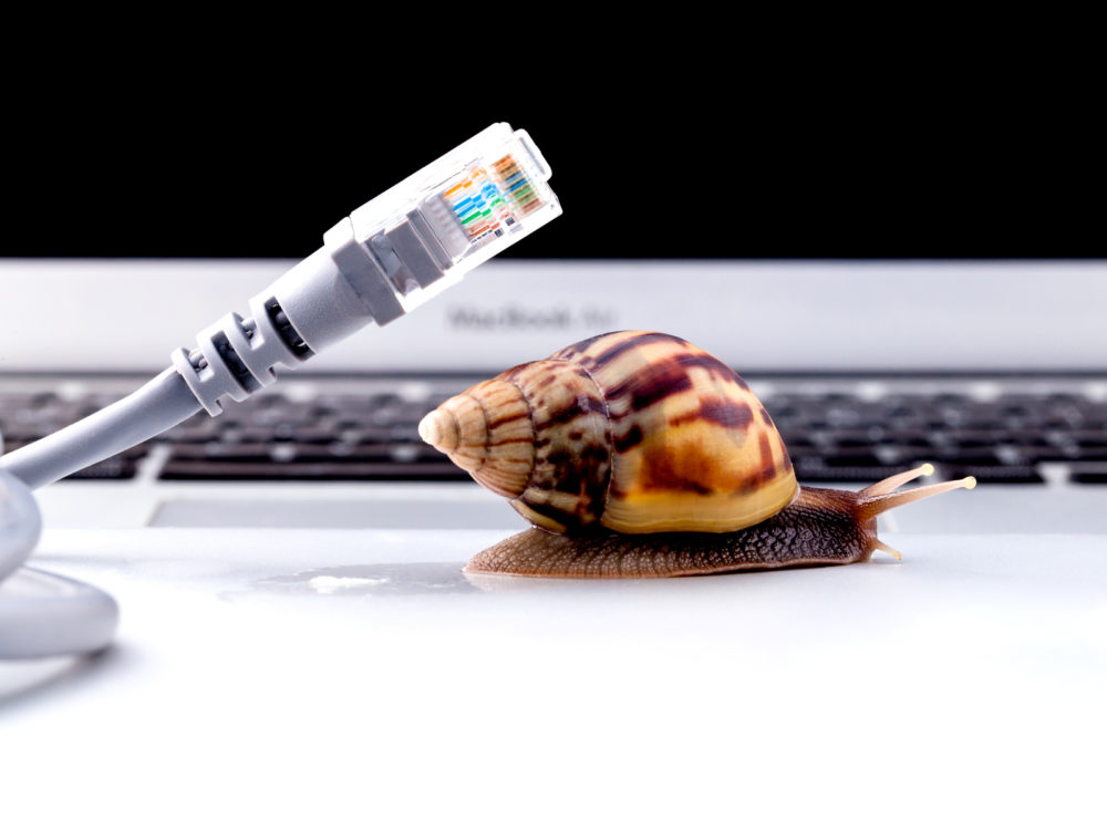 Slow internet snail