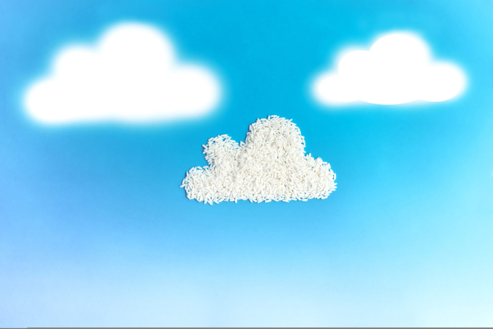 Cloud Backup made from white rice