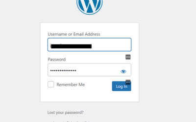 What Is Password Autofill And Should Successful Businesses Rely On It?