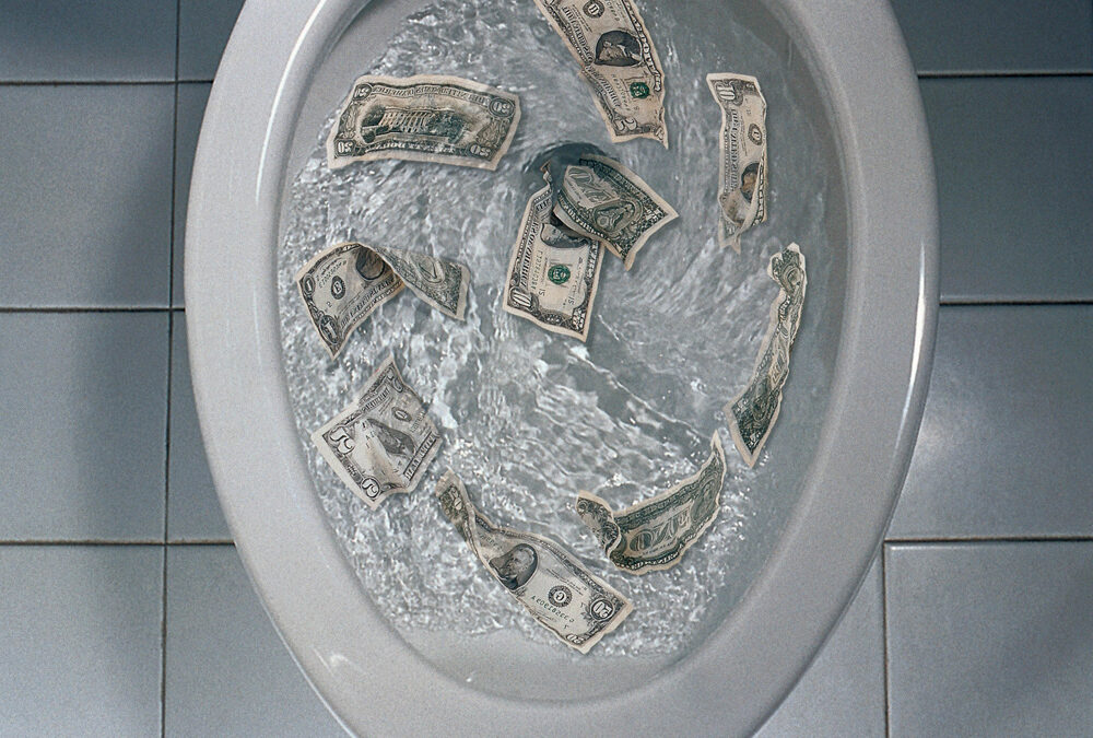 Wasting money on technology is like flushing it down the toilet.